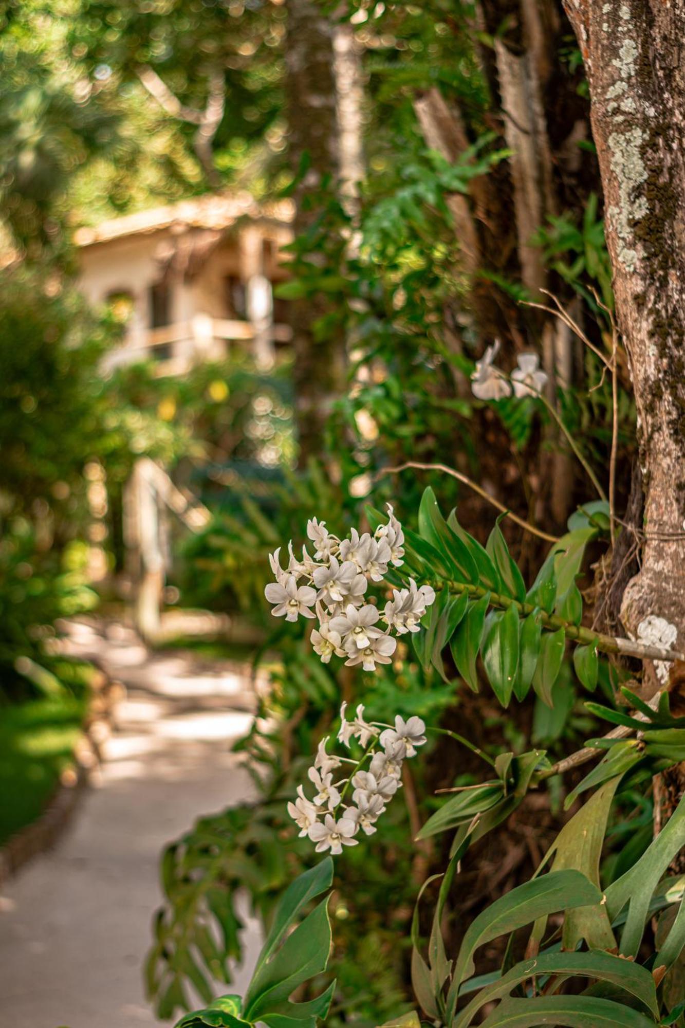 Hotel Boutique Bahia Bonita Trancoso Esterno foto